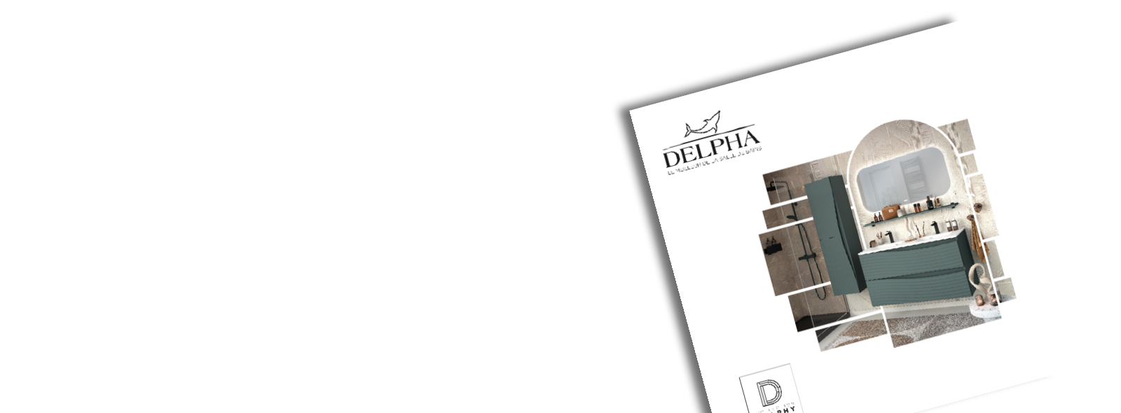 onglet Delphy 